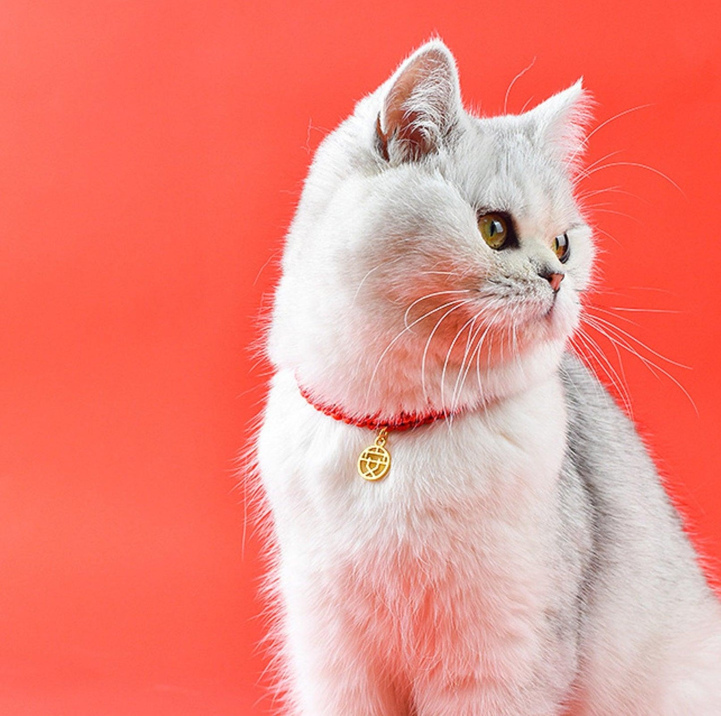 Chinese Style Fortune Pet Collar - {{product.type}} - PawPawUp