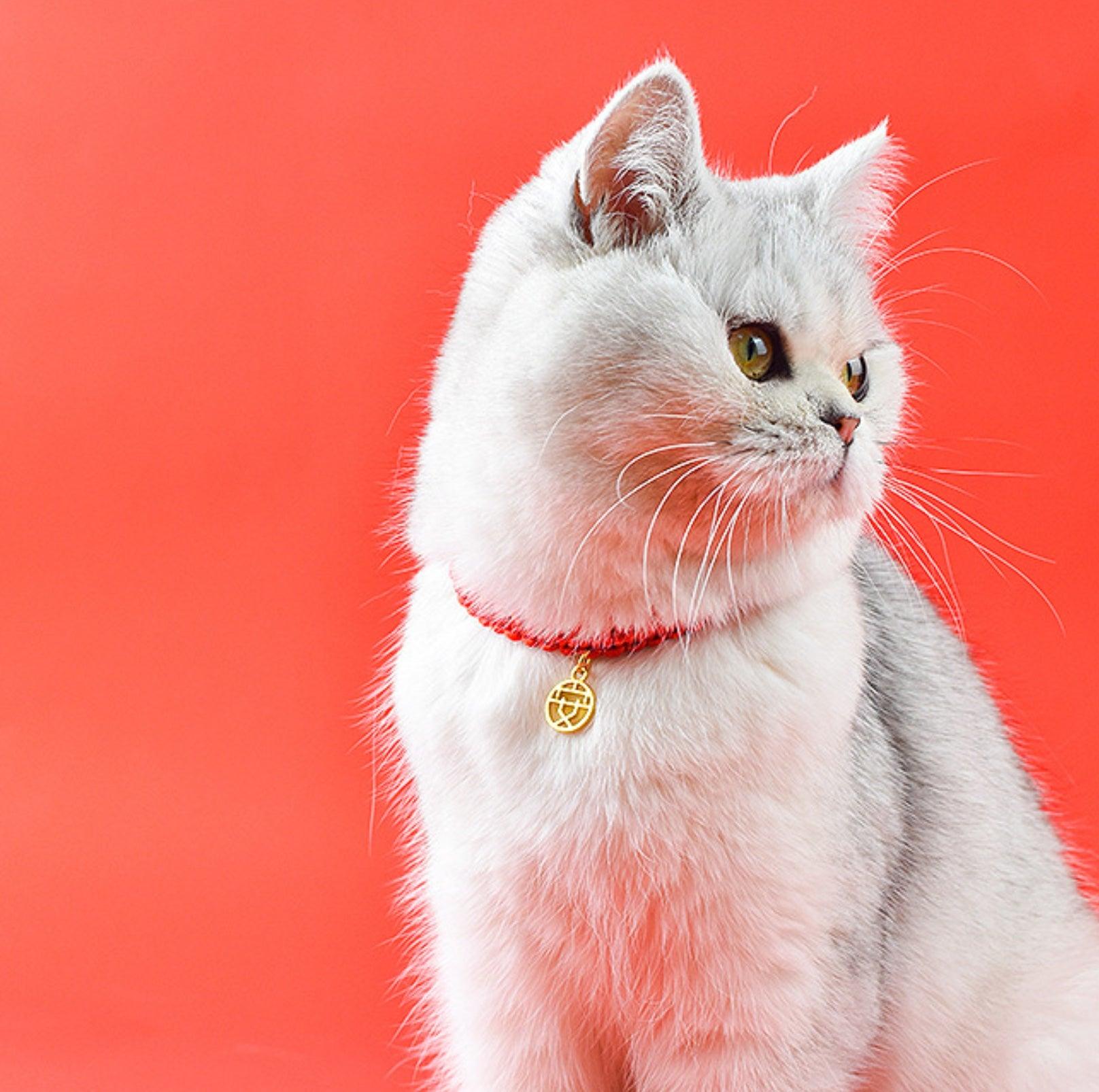 Chinese Style Fortune Pet Collar - {{product.type}} - PawPawUp
