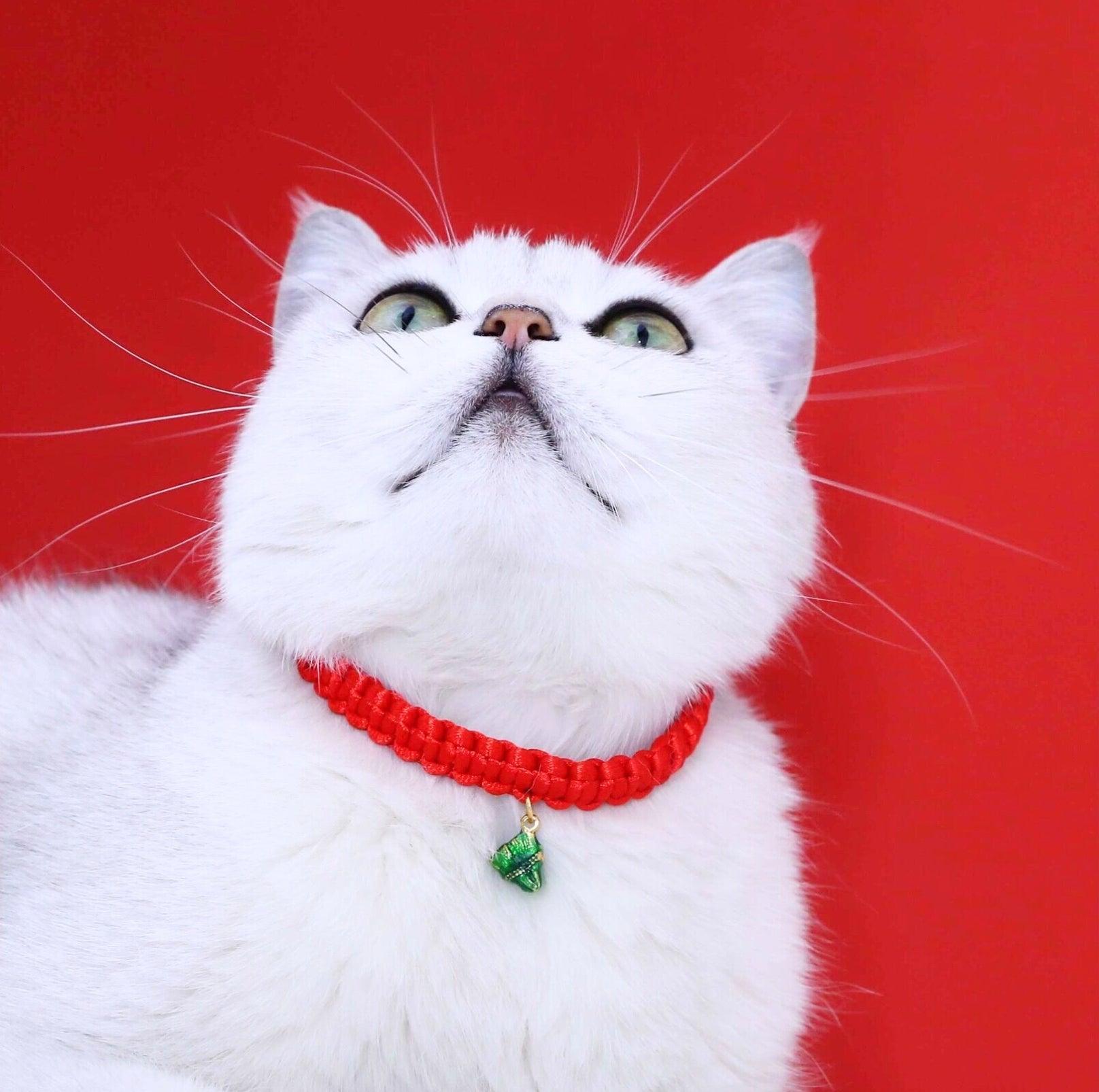 Chinese Style Fortune Pet Collar - {{product.type}} - PawPawUp