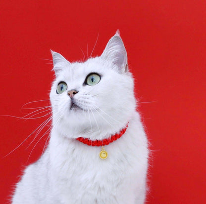 Chinese Style Fortune Pet Collar - {{product.type}} - PawPawUp