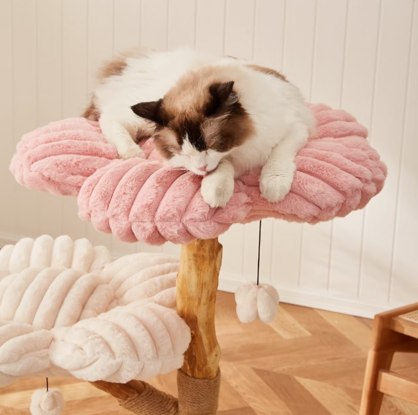 Cmisstree Flower-Inspired Wooden Cat Climbing Tree - Natural Fruitwood Comfort - {{product.type}} - PawPawUp