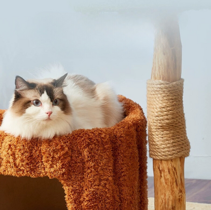 Cmisstree Tree Hollow Solid Wood 5-Tired Large Cat Tree - {{product.type}} - PawPawUp
