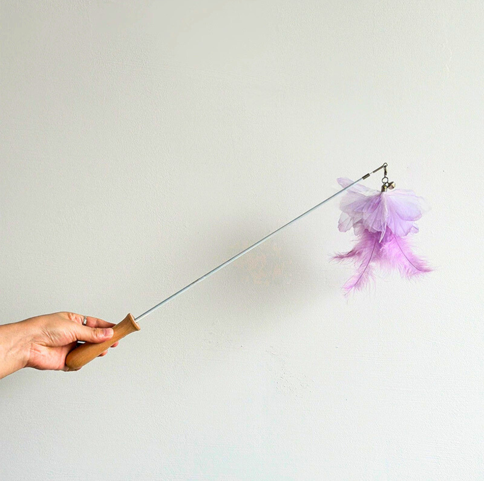 Colourful Feather Extendable Teaser Wand - Fully extended 81cm - {{product.type}} - PawPawUp