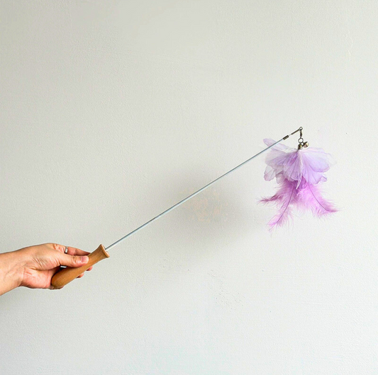 Colourful Feather Extendable Teaser Wand - Fully extended 81cm - {{product.type}} - PawPawUp