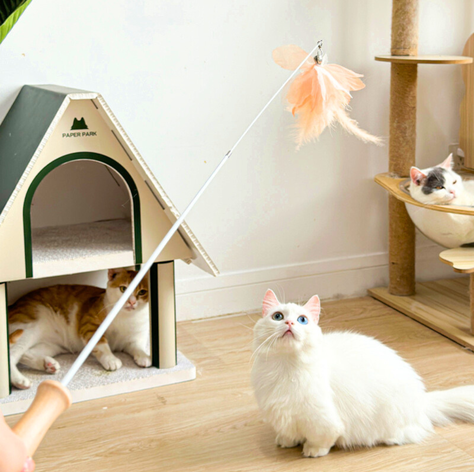 Colourful Feather Extendable Teaser Wand - Fully extended 81cm - {{product.type}} - PawPawUp