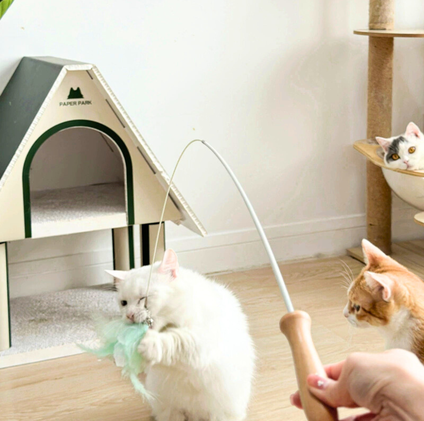 Colourful Feather Extendable Teaser Wand - Fully extended 81cm - {{product.type}} - PawPawUp