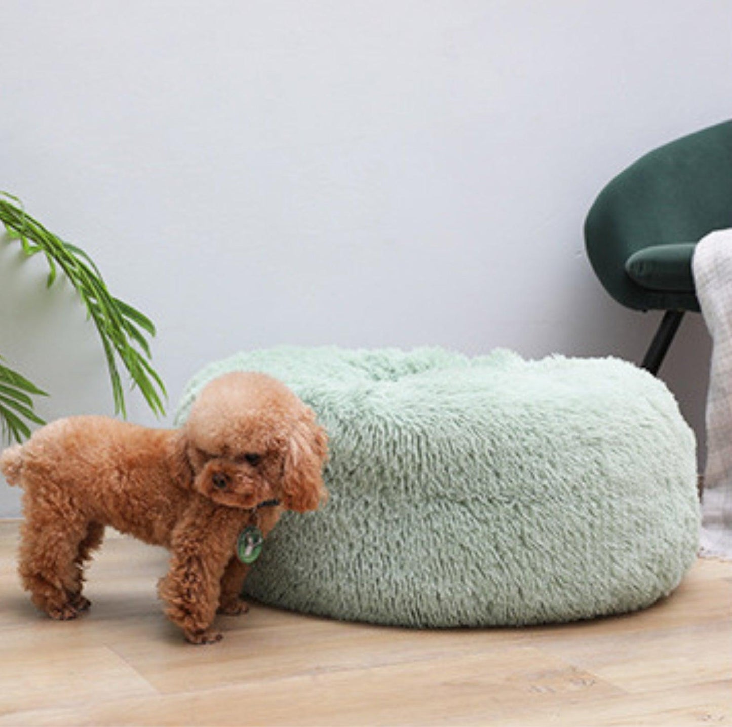 Cozy Plush Pet Bed - Warm and Durable Bedding for Cats and Dogs - {{product.type}} - PawPawUp