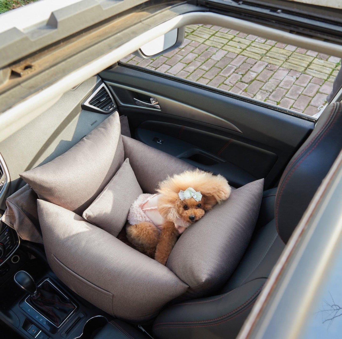 DOTOUUD 3-in-1 Pet Car Seat & Bed - {{product.type}} - PawPawUp