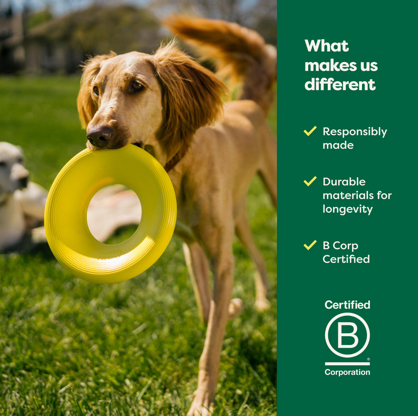Earth Rated Flyer Dog Toy - {{product.type}} - PawPawUp