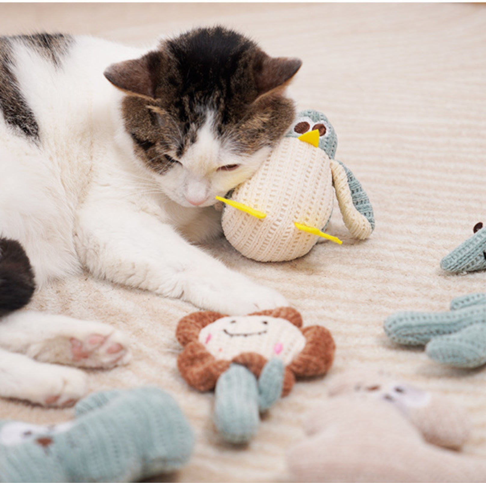Eco-friendly Woven Yarn Catnip Toys - {{product.type}} - PawPawUp