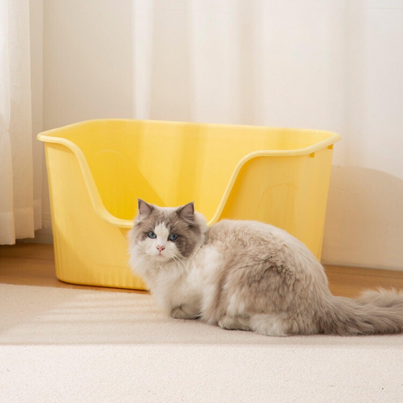 Extra-Large Open Splash-Proof Cat Litter Box - {{product.type}} - PawPawUp