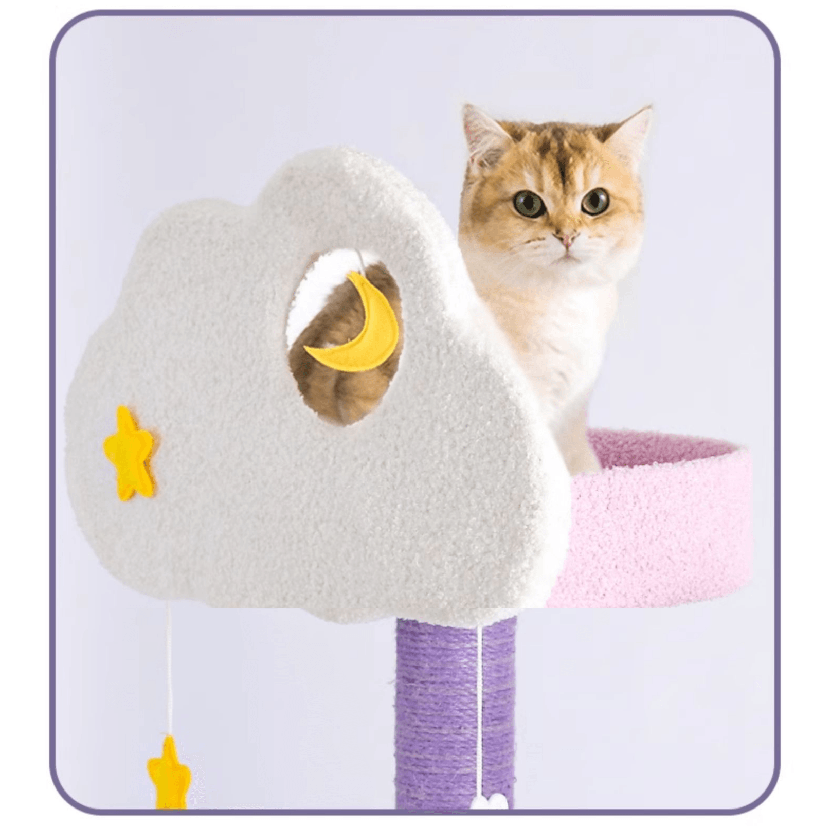 Fantasy Series - Galaxy Echo Super Large Cat Tree With Scratching Post (Height 170cm) - {{product.type}} - PawPawUp