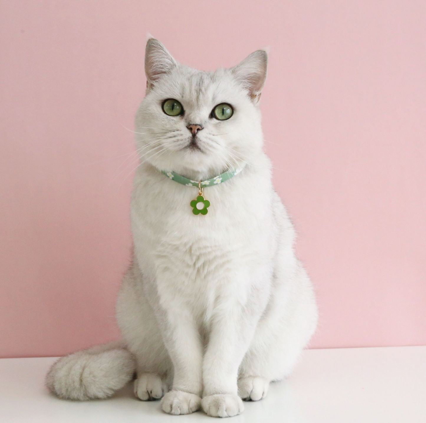 Flower Series Pendant Style Adjustable Pet Collar - {{product.type}} - PawPawUp