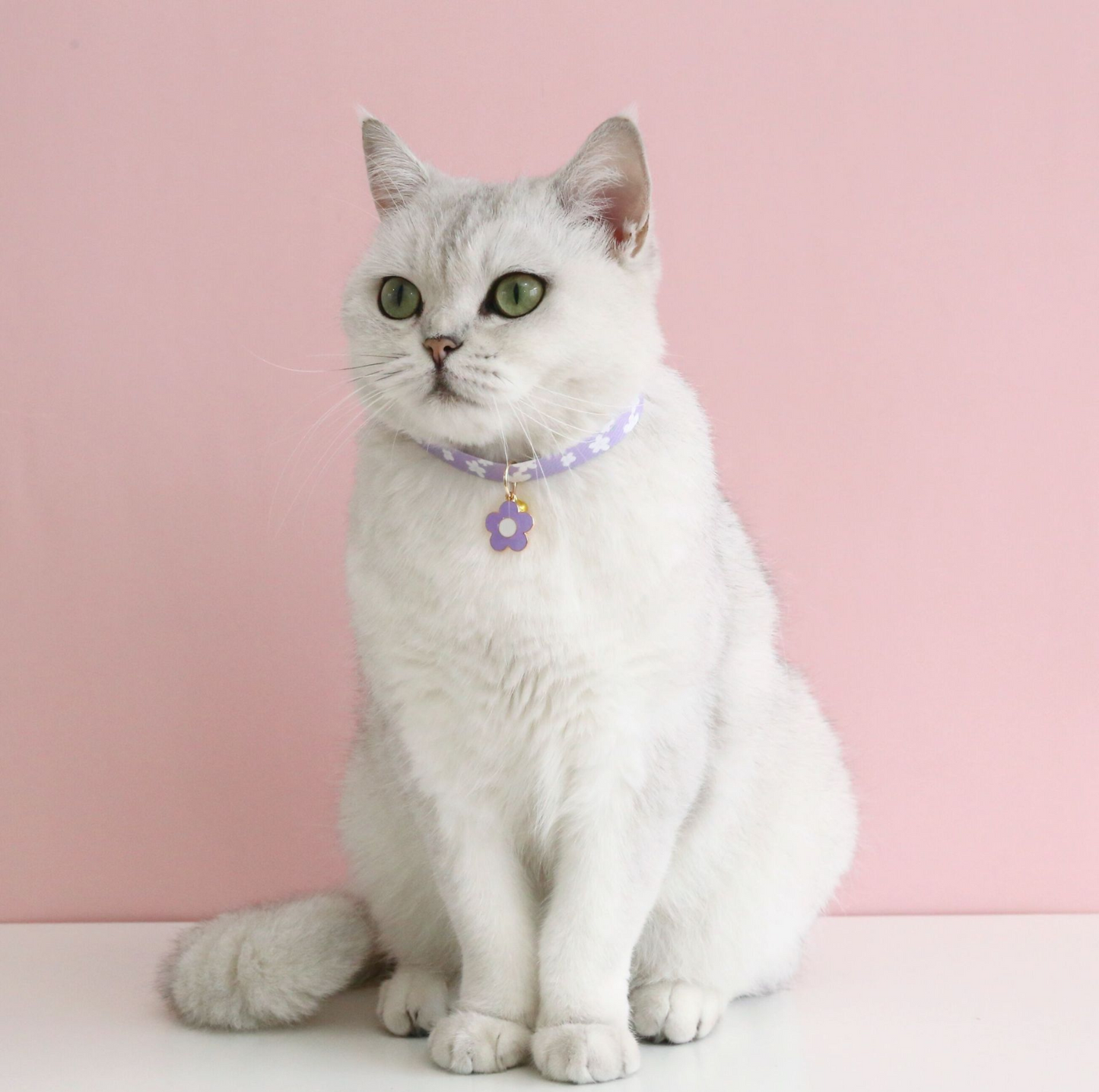 Flower Series Pendant Style Adjustable Pet Collar - {{product.type}} - PawPawUp