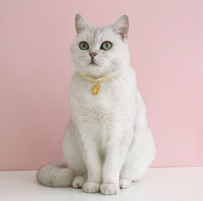 Flower Series Pendant Style Adjustable Pet Collar - {{product.type}} - PawPawUp