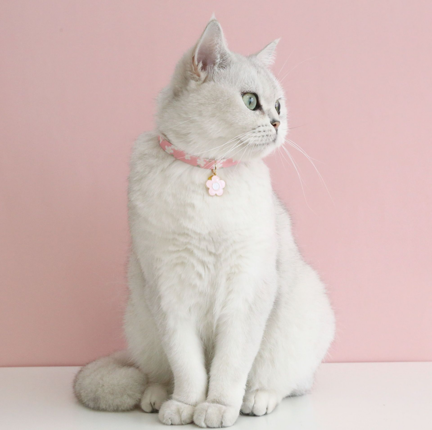Flower Series Pendant Style Adjustable Pet Collar - {{product.type}} - PawPawUp