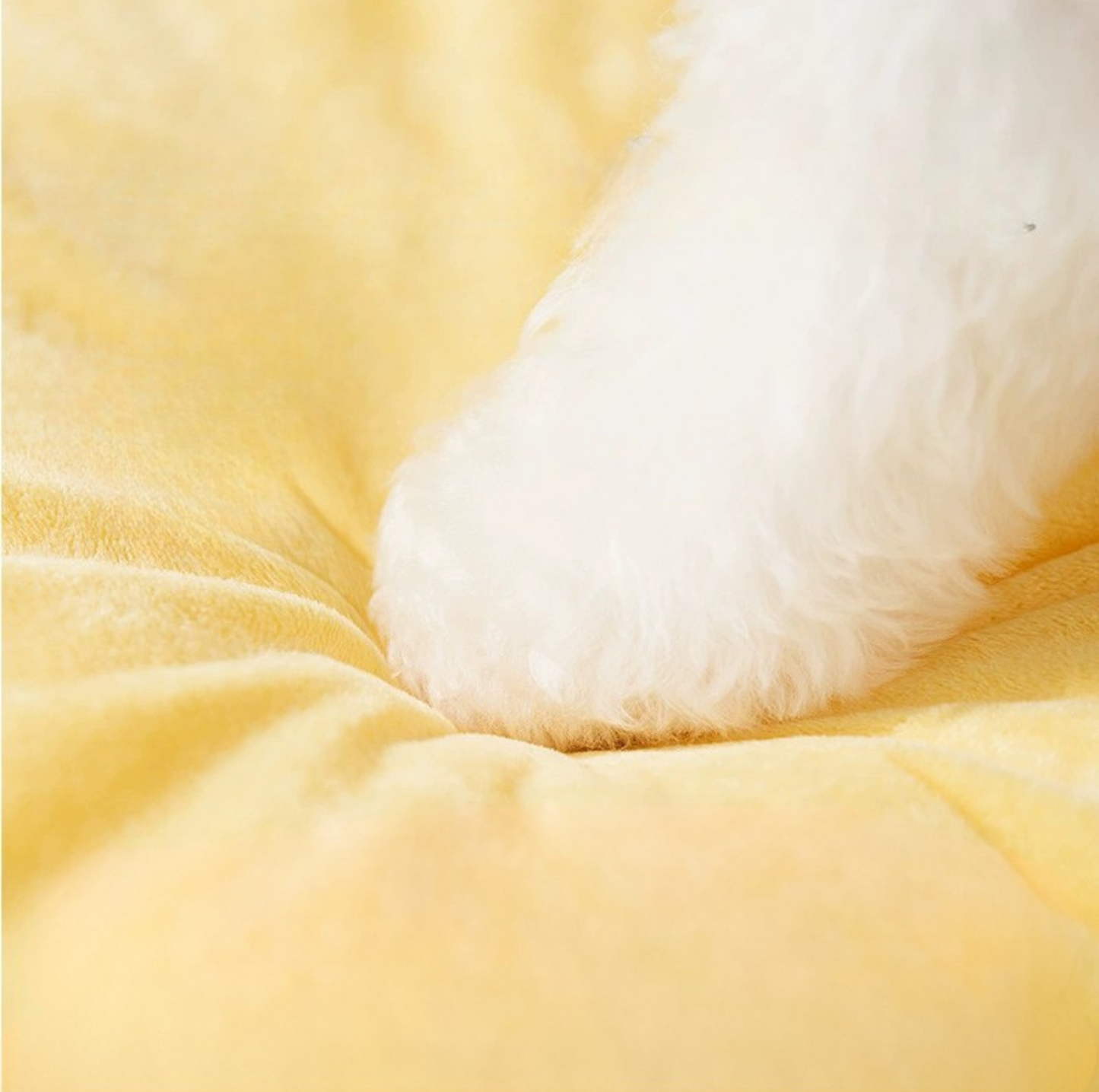 Fluffy Monster-Shaped Pet Bed – Ultra-Soft Deep Sleep Nest for Dogs & Cats - {{product.type}} - PawPawUp