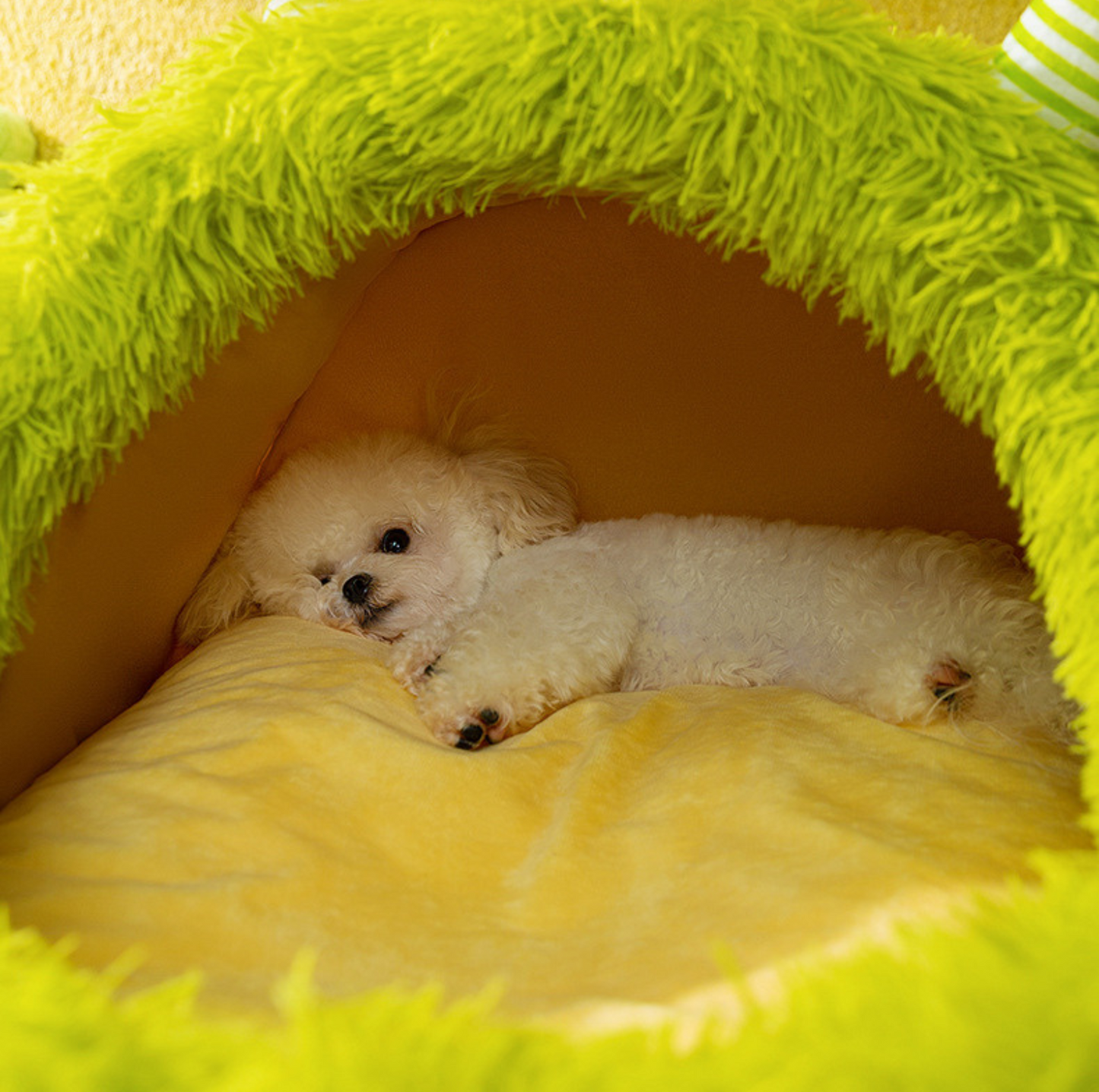 Fluffy Monster-Shaped Pet Bed – Ultra-Soft Deep Sleep Nest for Dogs & Cats - {{product.type}} - PawPawUp
