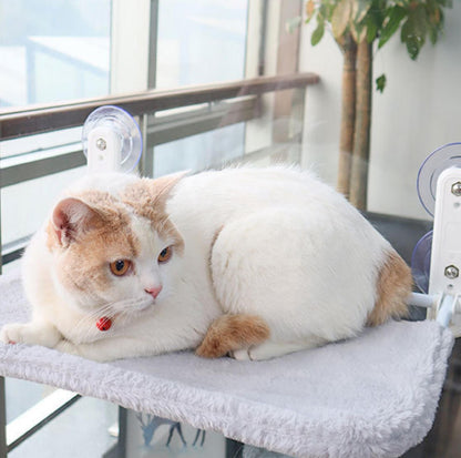 Foldable Cat Window Hammock with Strong Suction Cups - {{product.type}} - PawPawUp