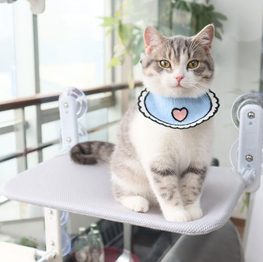 Foldable Cat Window Hammock with Strong Suction Cups - {{product.type}} - PawPawUp