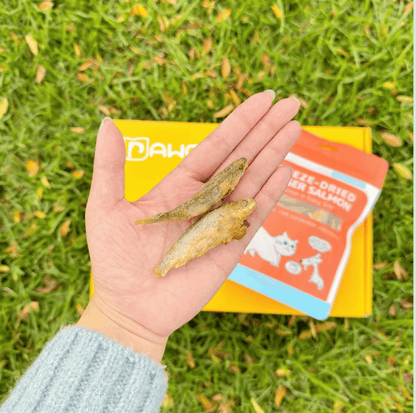 Freeze-Dried Finger Salmon Treat - 50g - {{product.type}} - PawPawUp