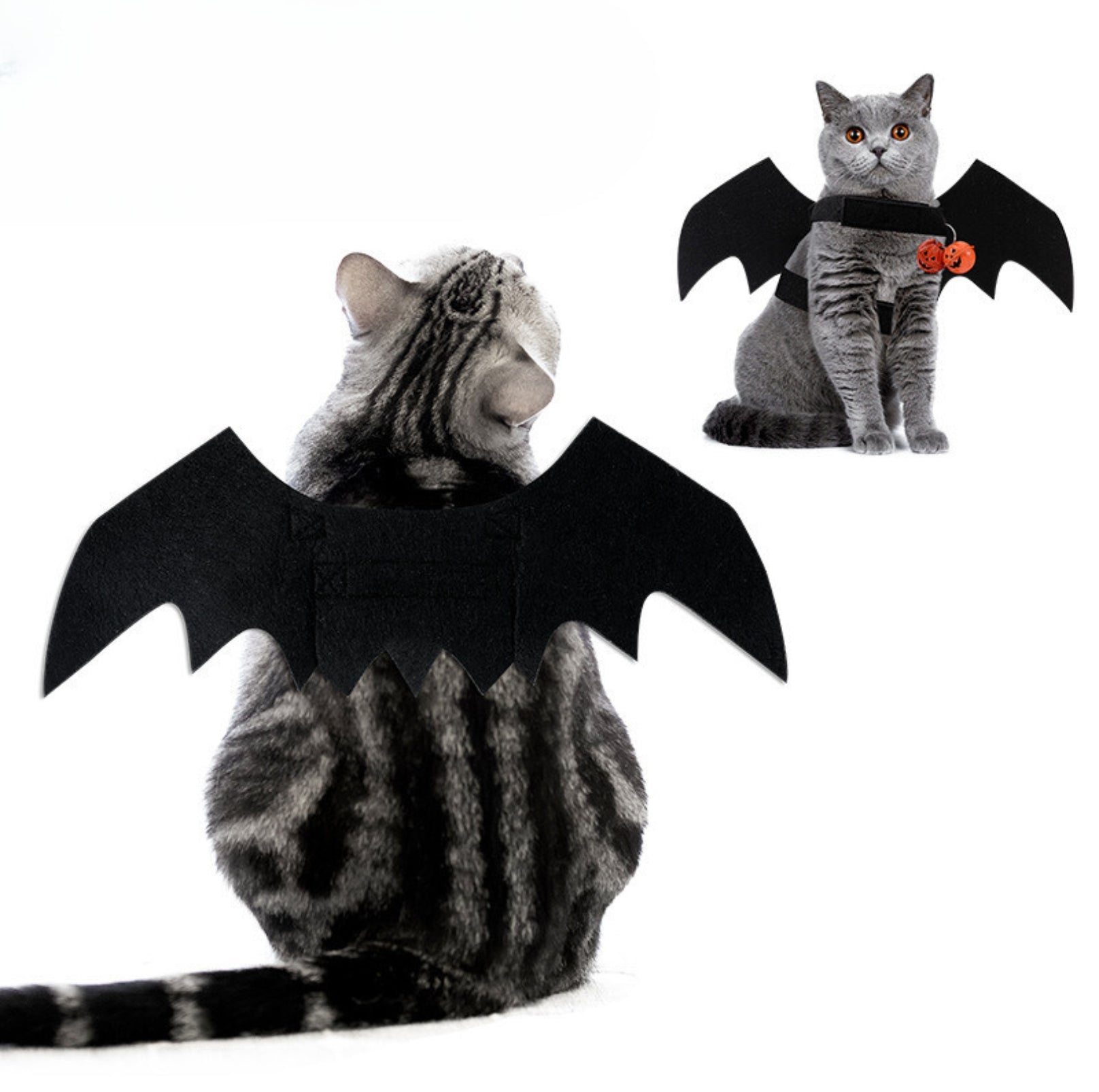Happy Halloween Bat Wing-Styled Pet Accessory Collar - {{product.type}} - PawPawUp