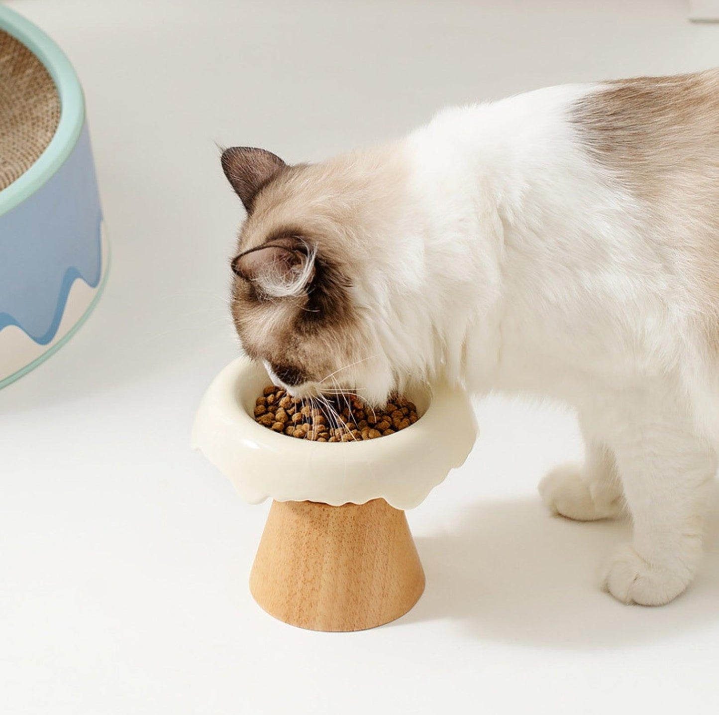 Ice Cream Styled Detatchable Lead-Free Ceramic Pet Food Bowls - {{product.type}} - PawPawUp