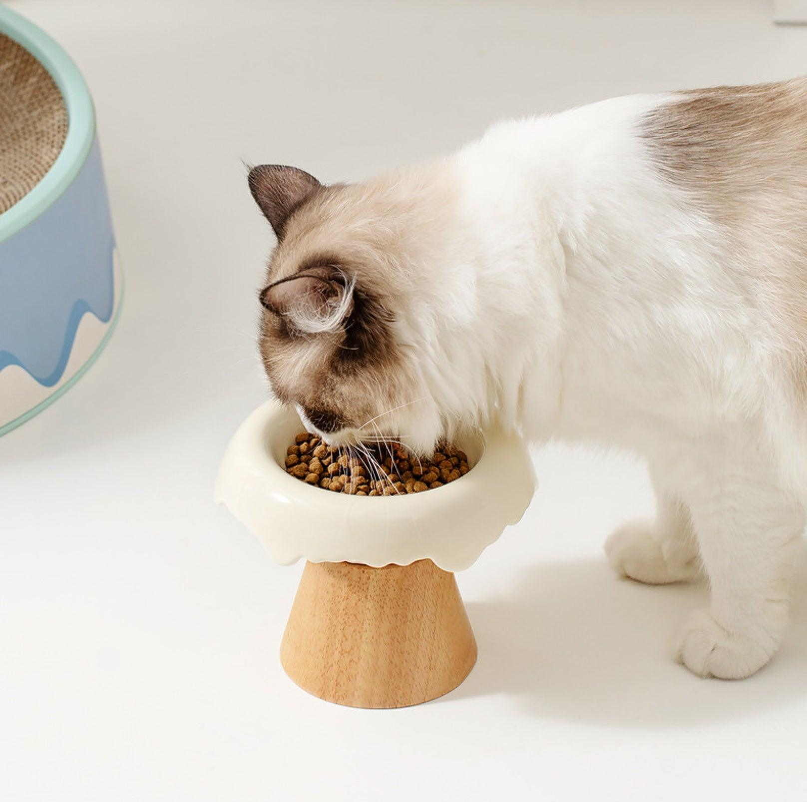 Ice Cream Styled Detatchable Lead-Free Ceramic Pet Food Bowls - {{product.type}} - PawPawUp