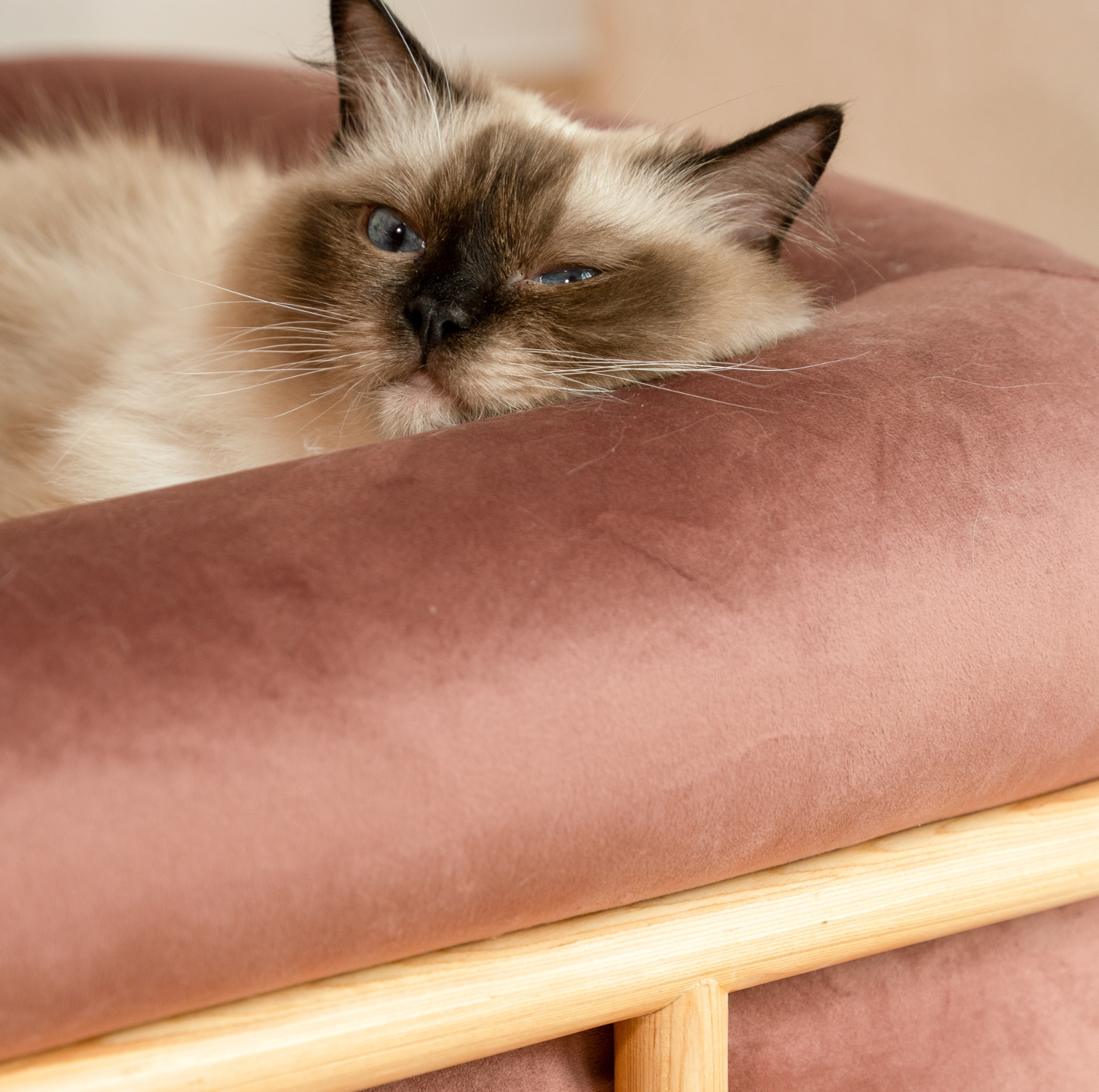 KAMA MUTA Bread Pet Bed - Italian-Inspired Design with Memory Foam and Ash Wood Frame - {{product.type}} - PawPawUp