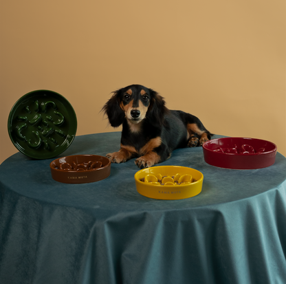 KAMA MUTA Ceramic Slow Feeder Bowl - {{product.type}} - PawPawUp