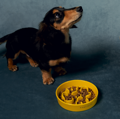 KAMA MUTA Ceramic Slow Feeder Bowl - {{product.type}} - PawPawUp