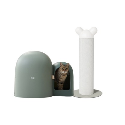 Makesure Cat Comfort & Play Bundle - Stylish Home Integration - {{product.type}} - PawPawUp