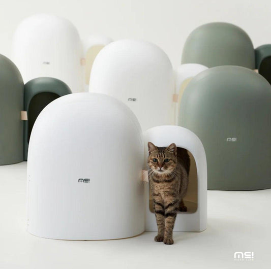 Makesure Cat Litter Box MAX - {{product.type}} - PawPawUp