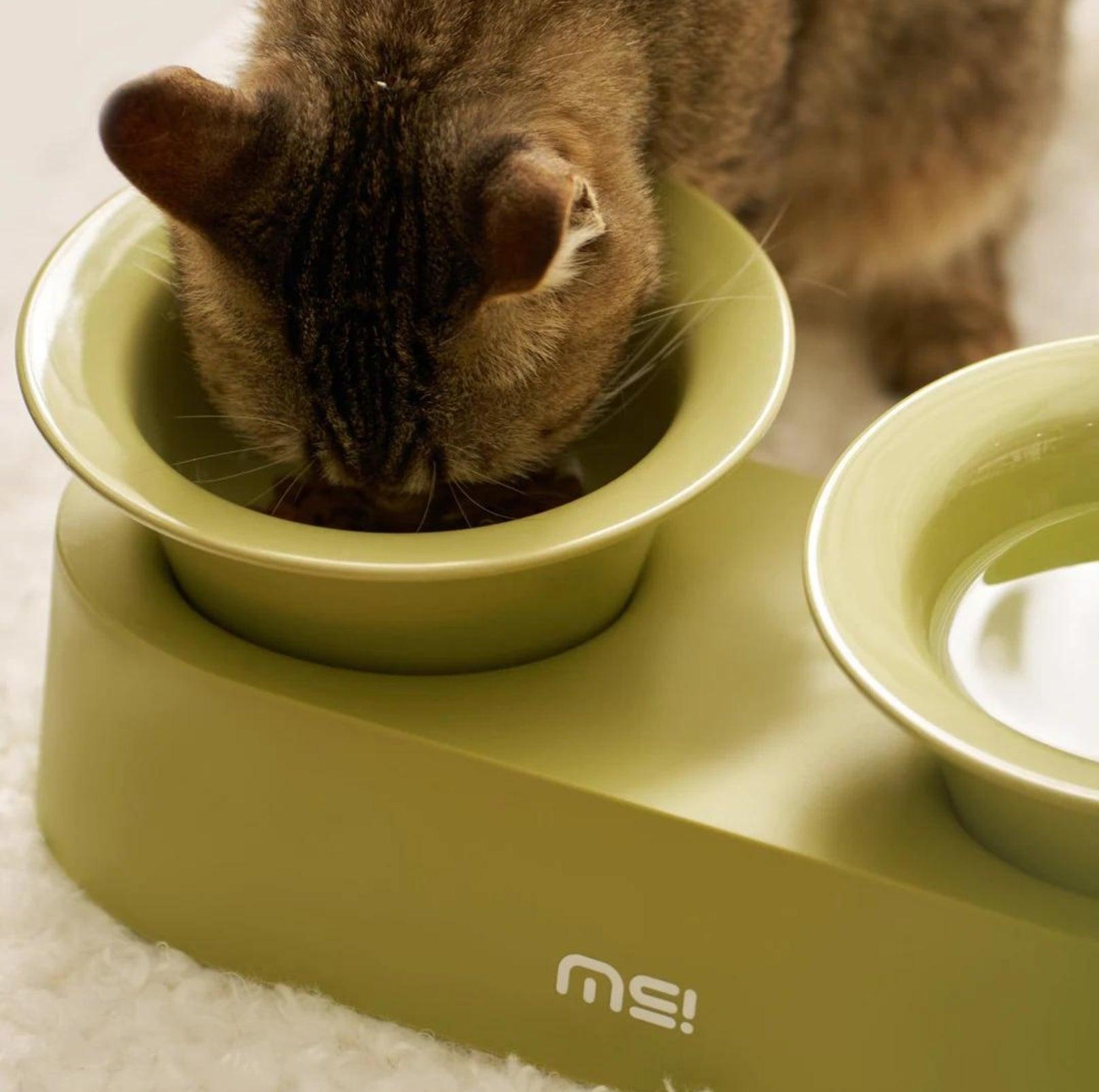 MAKESURE Jingle 2-in-1 Ceramic Pet Bowl Set for Food & Water Cat Bowls - {{product.type}} - PawPawUp