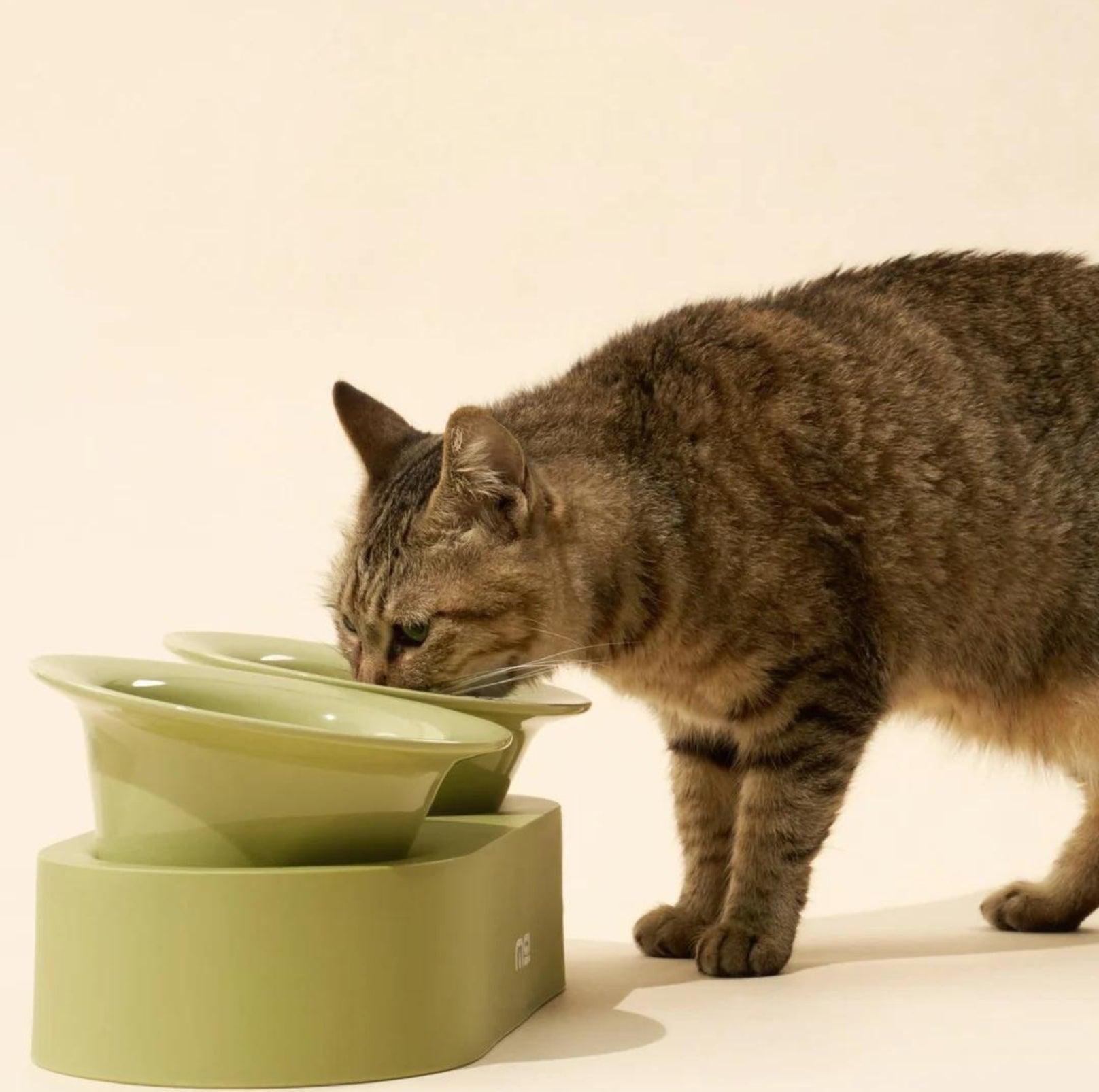 MAKESURE Jingle 2-in-1 Ceramic Pet Bowl Set for Food & Water Cat Bowls - {{product.type}} - PawPawUp