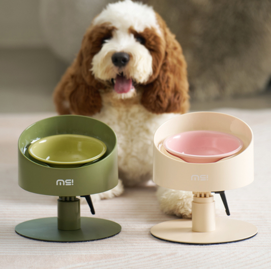 Makesure Sunflower Adjustable Pet Food Bowl - {{product.type}} - PawPawUp