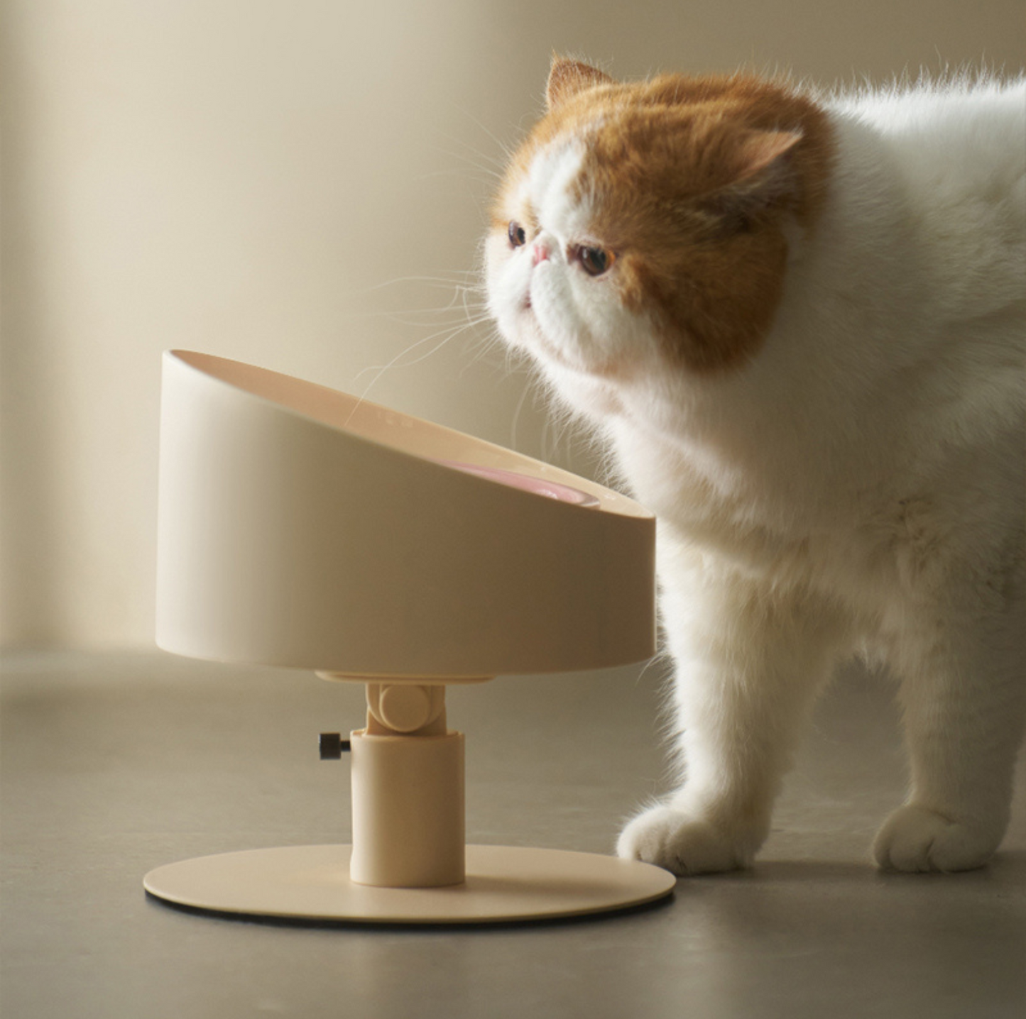 Makesure Sunflower Adjustable Pet Food Bowl - {{product.type}} - PawPawUp