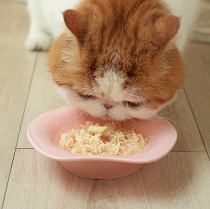 Makesure ZooZoo Pet Feeding Plate - {{product.type}} - PawPawUp