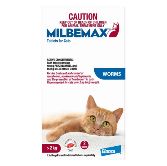 Milbemax Allwormer For Large Cats Over 2kg-2 Tablets - {{product.type}} - PawPawUp