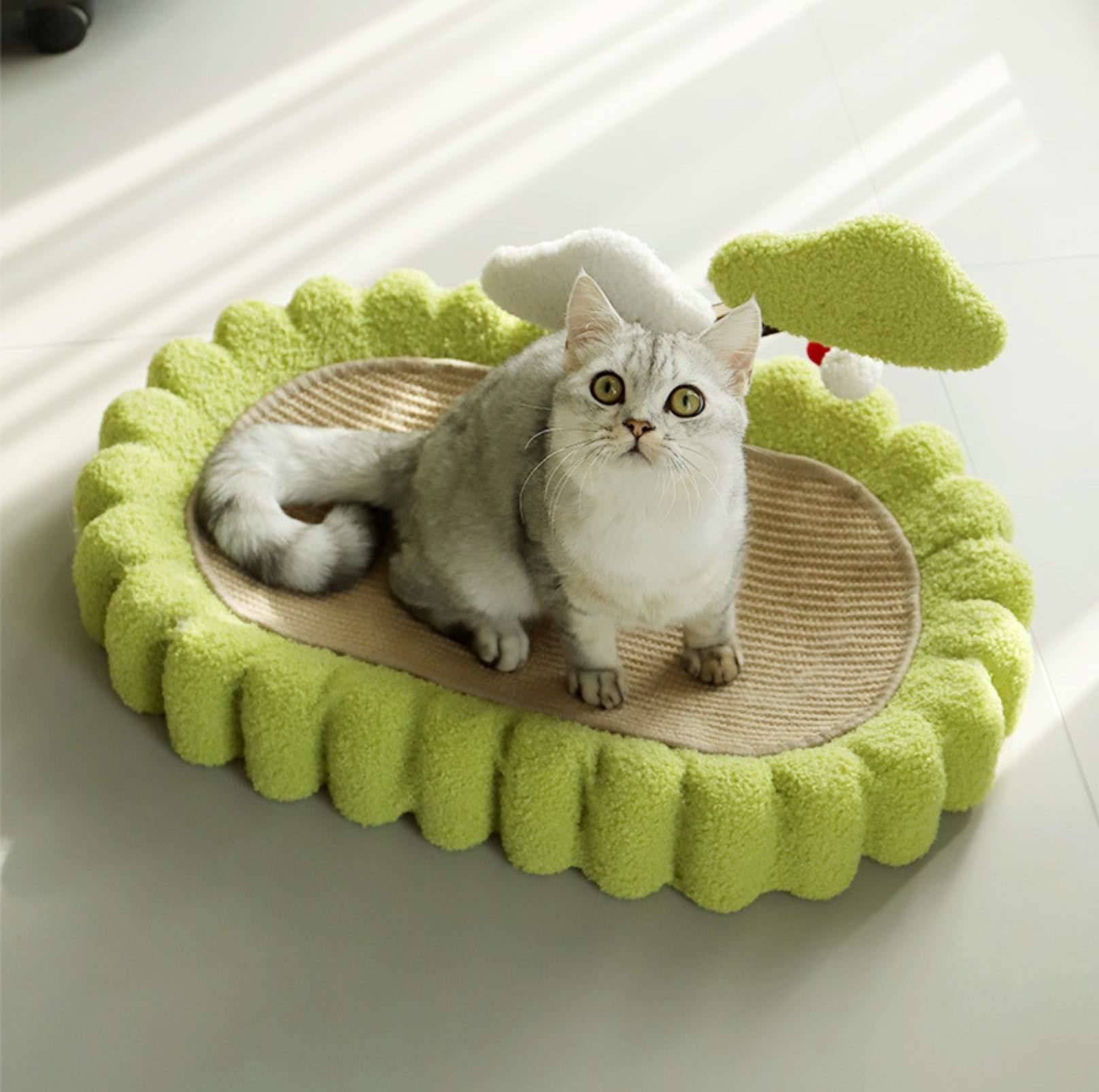 Multifunctional Cat Scratcher Bed - {{product.type}} - PawPawUp