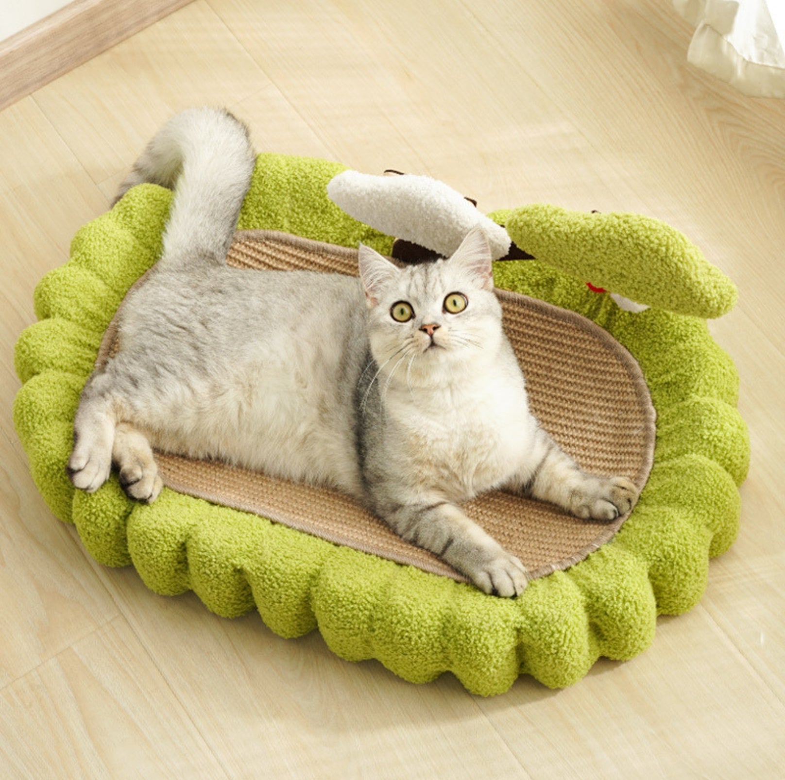 Multifunctional Cat Scratcher Bed - {{product.type}} - PawPawUp