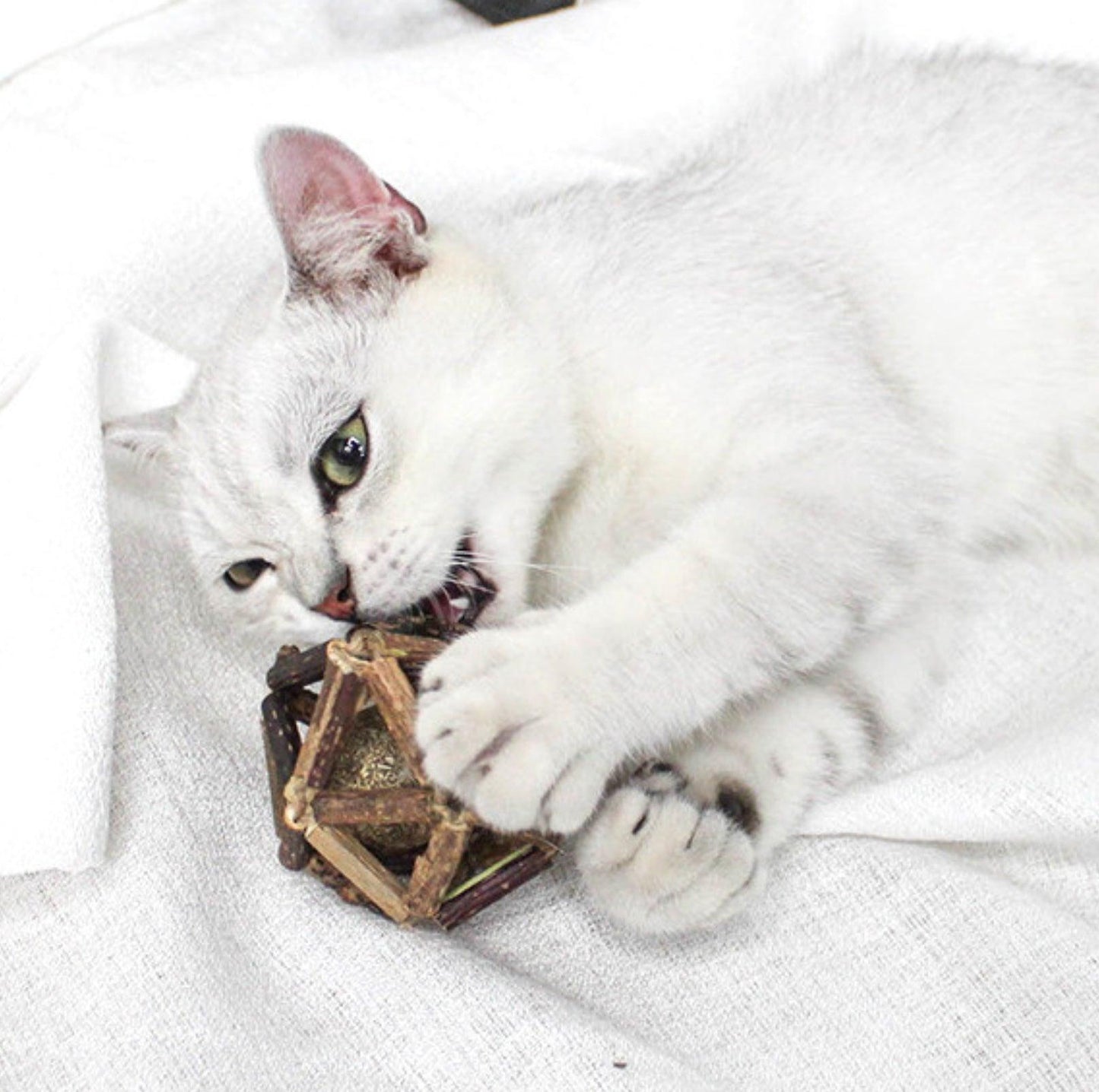 Natural Catnip & Silvervine Ball Cat Toys - Stress Relief for Delighted Cats - {{product.type}} - PawPawUp
