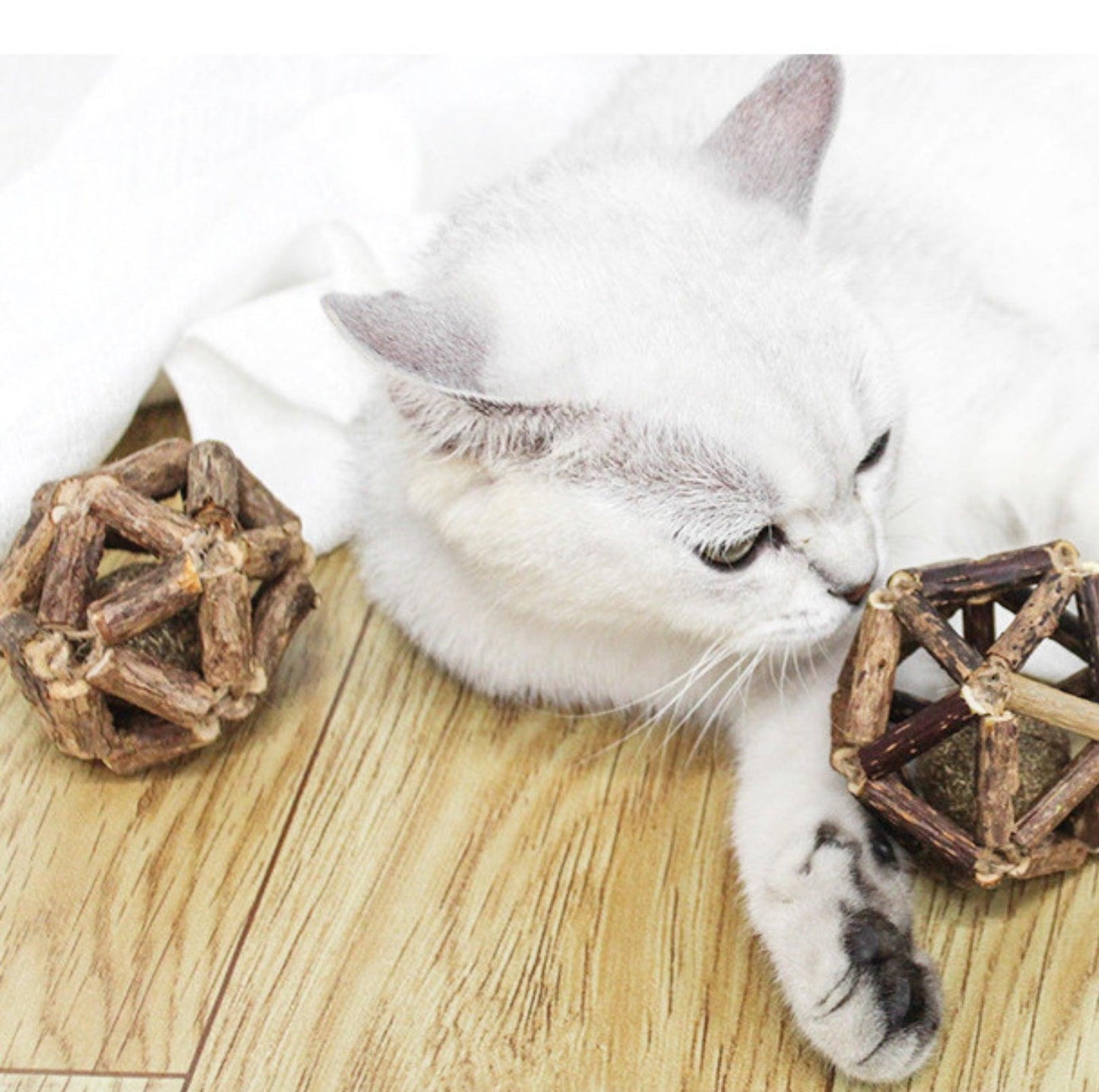 Natural Catnip & Silvervine Ball Cat Toys - Stress Relief for Delighted Cats - {{product.type}} - PawPawUp