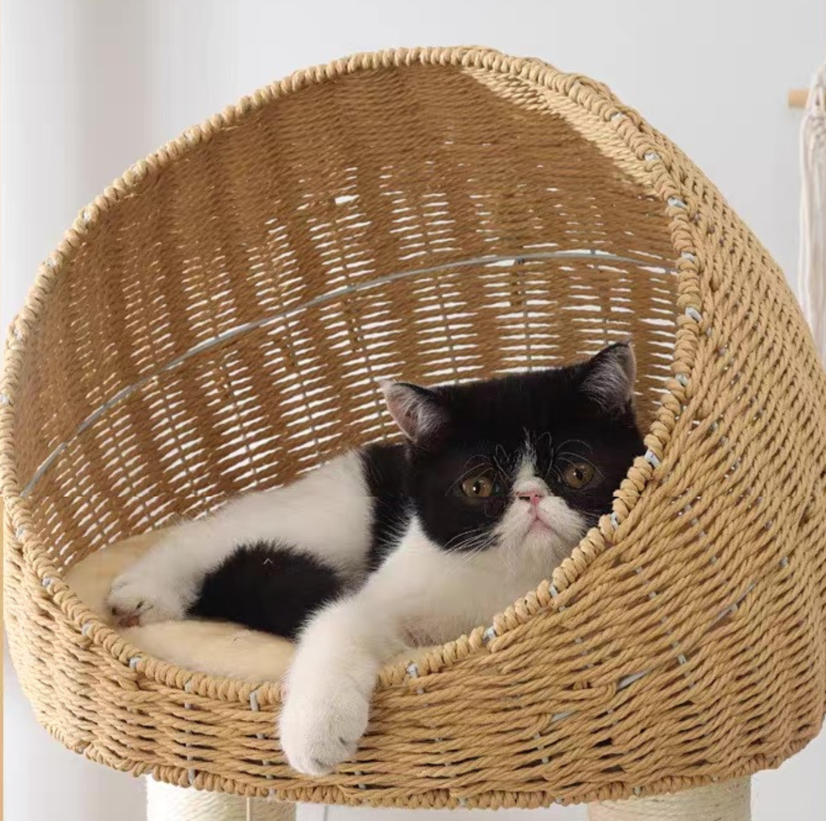 Oak Cat Tower – 6 Levels with Woven Rattan Beds (90855) - {{product.type}} - PawPawUp