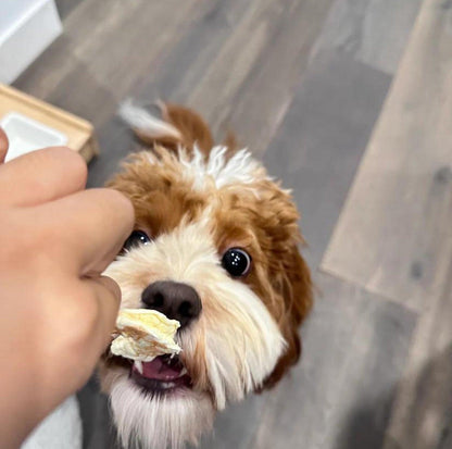 Pawcket Freeze-Dried Raw Prawn | Dog and Cat Treat - {{product.type}} - PawPawUp