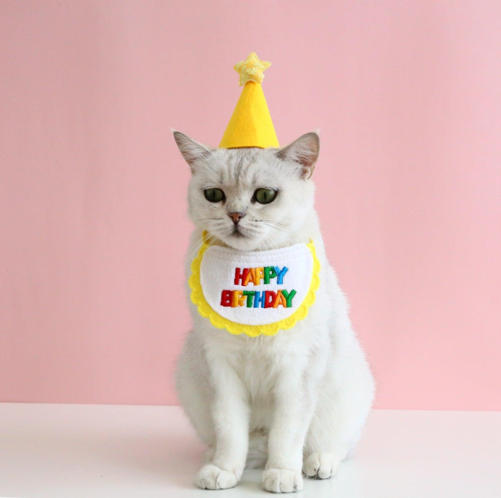 Pet Birthday Ensemble: Stylish Hat & Bib Accessory Set - {{product.type}} - PawPawUp