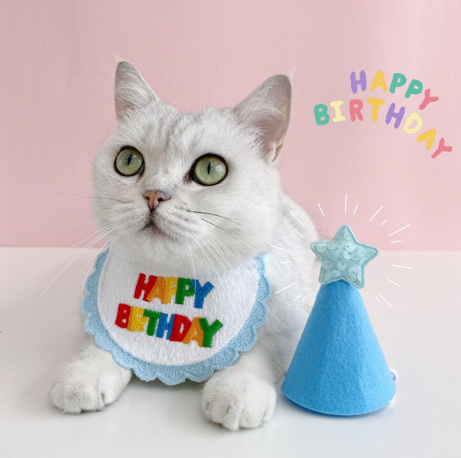Pet Birthday Ensemble: Stylish Hat & Bib Accessory Set - {{product.type}} - PawPawUp