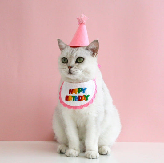 Pet Birthday Ensemble: Stylish Hat & Bib Accessory Set - {{product.type}} - PawPawUp