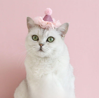 Pet Birthday Hat - Ultimate Party Gear for Pets - {{product.type}} - PawPawUp