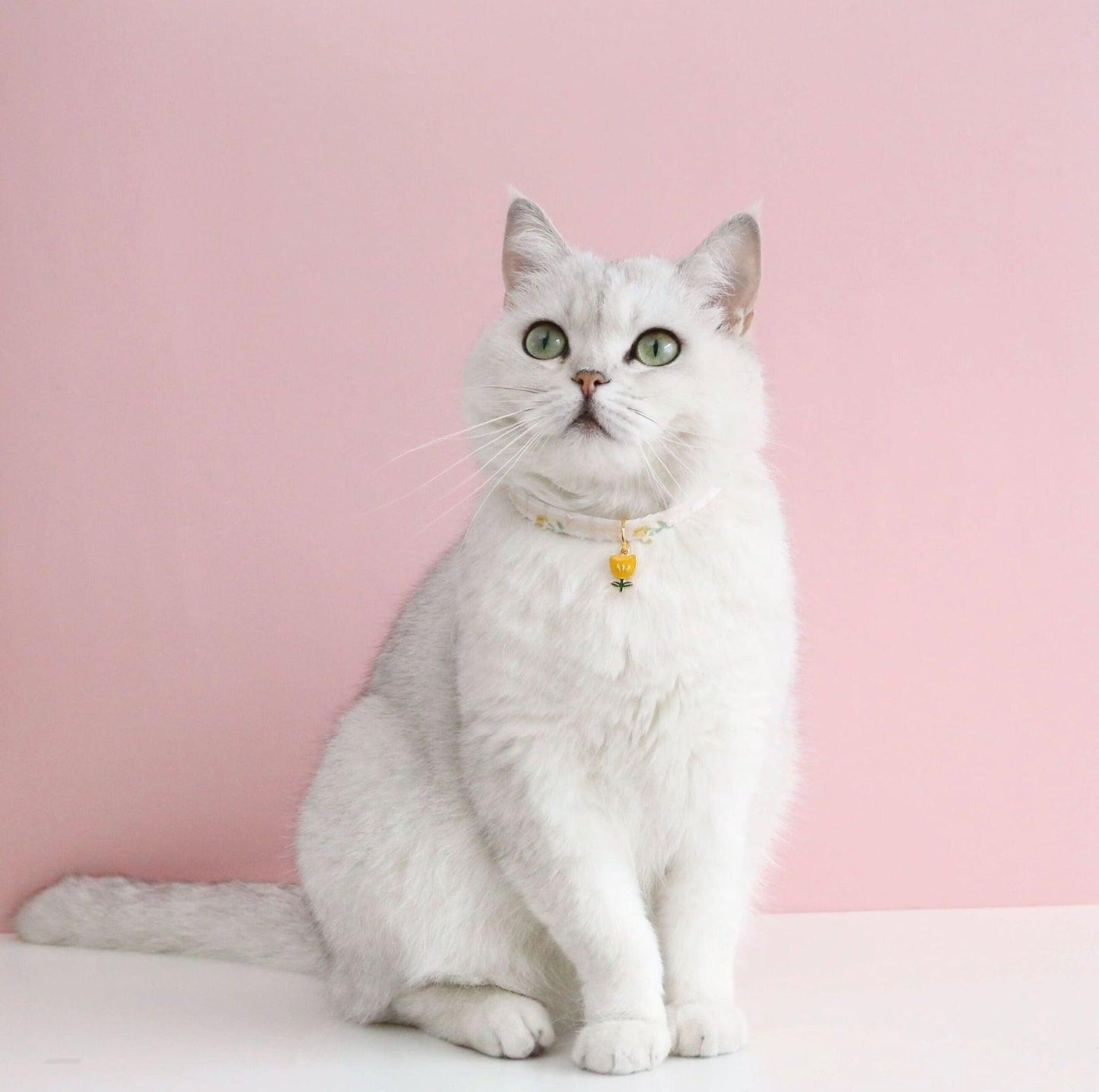 Pet Tulip Pendant Bell Adjustable Collar - {{product.type}} - PawPawUp